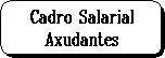 Rectngulo redondeado: Cadro Salarial
Axudantes
