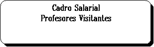 Proceso alternativo: Cadro Salarial
Profesores Visitantes
